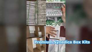 Synedica Box Kit Dengan Pena Hijau Kartrid 3ml 12 jarum dan Leaflet